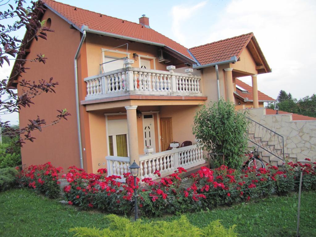 Alsóhegyi Apartmanok Zalakaros Kültér fotó